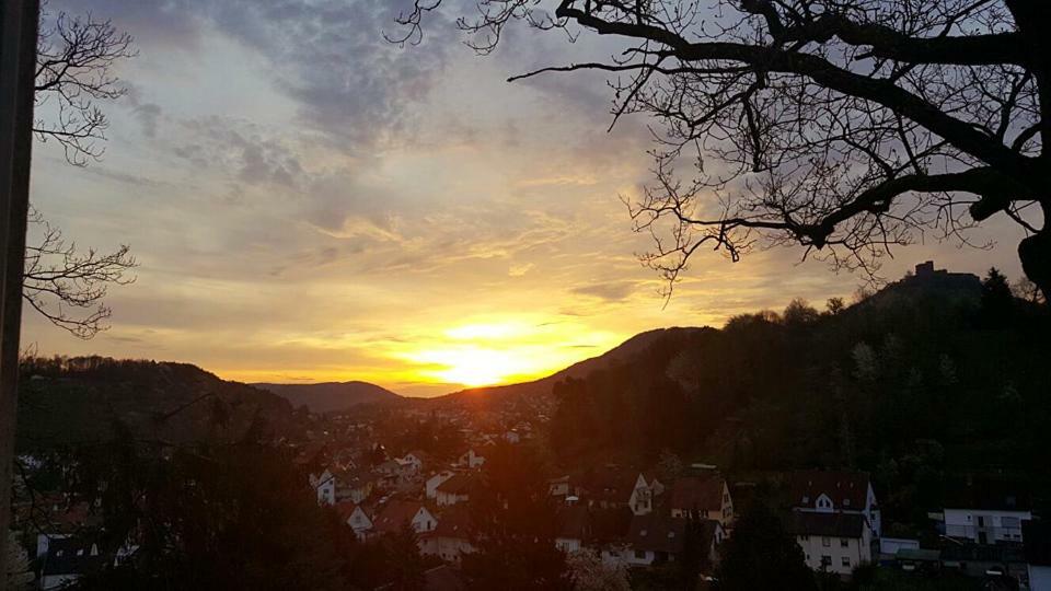 Pension Bergterrasse Annweiler am Trifels Eksteriør bilde