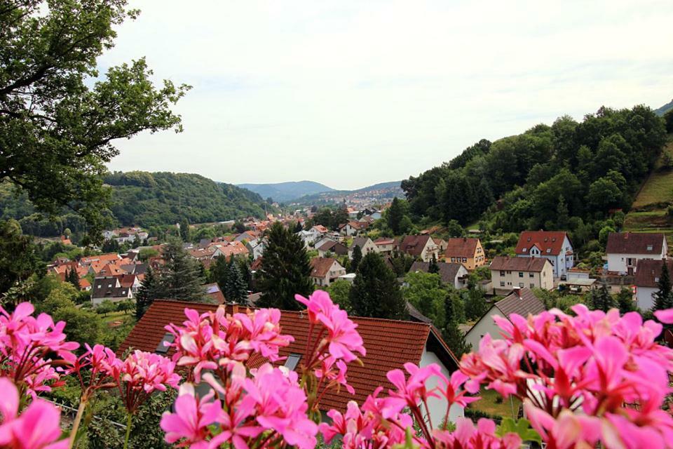 Pension Bergterrasse Annweiler am Trifels Eksteriør bilde